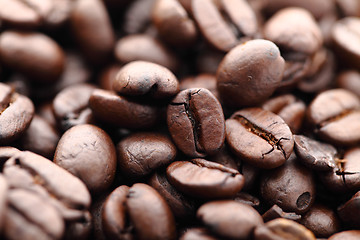 Image showing Coffee beans