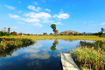 Image showing Wetland