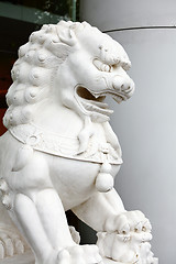 Image showing Chinese lion statue close up