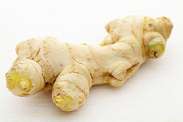 Image showing ginger root