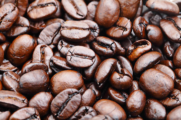 Image showing coffee bean