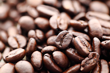 Image showing coffee bean