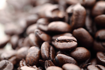 Image showing Coffee beans