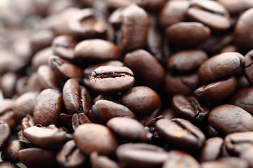 Image showing coffee bean