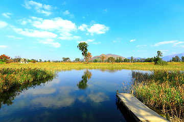 Image showing Wetland