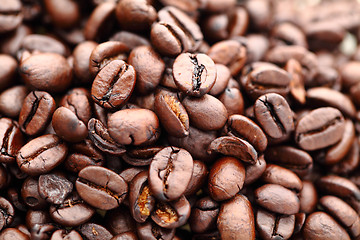 Image showing Coffee bean