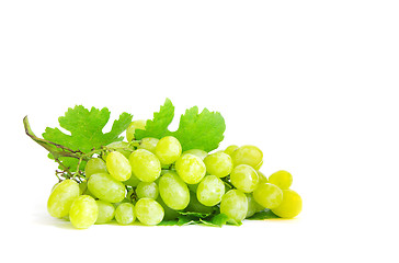 Image showing  grape 
