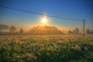 Image showing Meadows on morning with power line