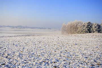 Image showing Frozen fields and meadows