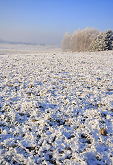 Image showing Frozen fields and meadows