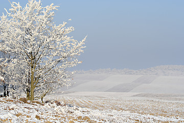 Image showing Hazy winter landscape