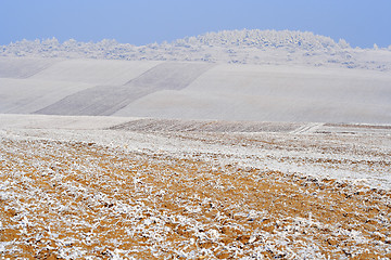 Image showing Hazy winter landscape