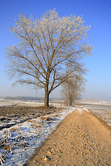 Image showing Dirty rural road