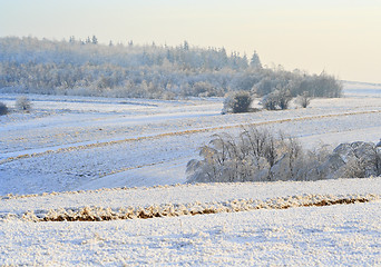 Image showing Rural winter landscape