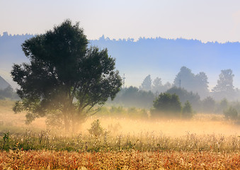 Image showing Foggy morning