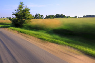 Image showing Road and tree with motion blur