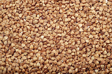 Image showing Buckwheat seeds