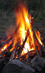 Image showing Campfire