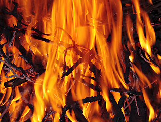 Image showing Bonfire close up