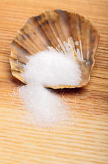 Image showing Salt in shell