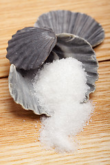 Image showing Sugar in shell