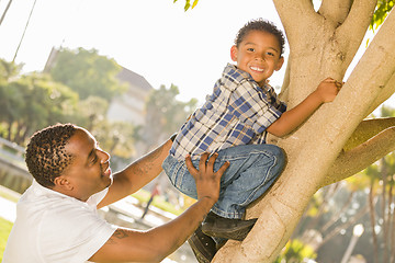 Image showing Happy Mixed Race Father Helping Son Climb a Tree