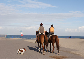 Image showing Horseriding