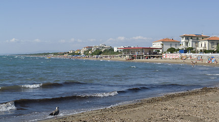 Image showing San Vincenzo