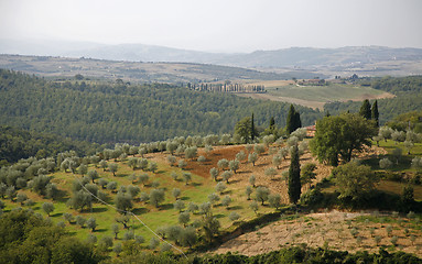 Image showing Countryside Tuscany