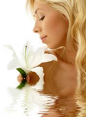 Image showing madonna lily girl in water