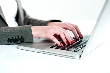 Image showing Close view of woman hands using laptop