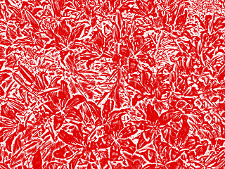 Image showing Red abstract background