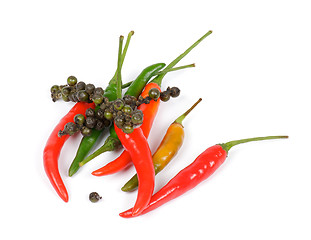 Image showing Mini Chili Peppers 