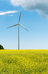 Image showing Windmill