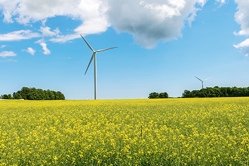 Image showing Windmill