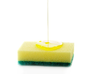 Image showing Dish Sponge