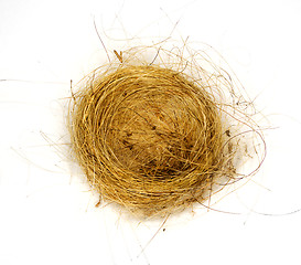 Image showing Isolated birds nest woven from grass and hair 