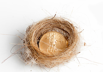 Image showing Isolated birds nest with gold coin