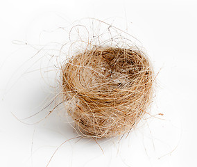 Image showing Isolated birds nest woven from grass and hair 