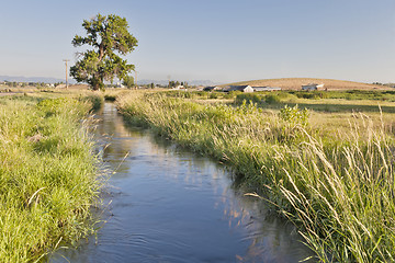 Image showing irrigation ditch in Colorado