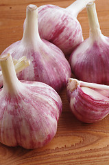 Image showing Fresh Garlic