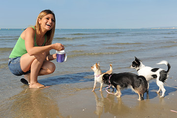 Image showing chihuahuas and girl on the beach