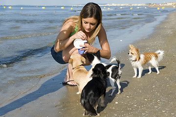 Image showing chihuahuas and girl on the beach