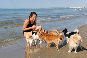 Image showing chihuahuas and girl on the beach