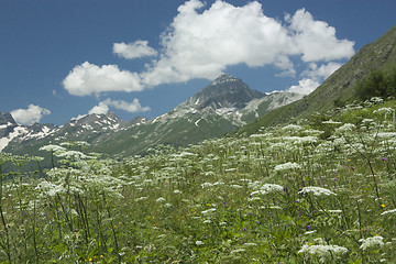 Image showing Mountains on a sunny day, the resorts of the Caucasus