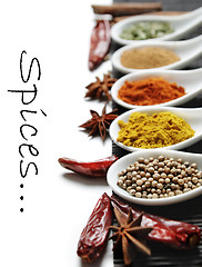 Image showing Spices