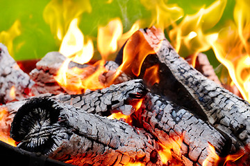 Image showing burning fire