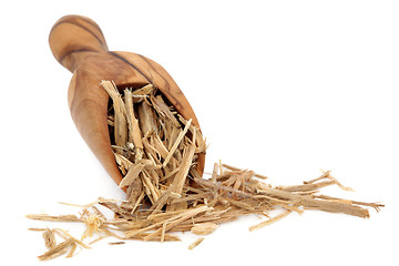 Image showing Ginseng