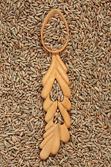 Image showing Rye Wheat Grain