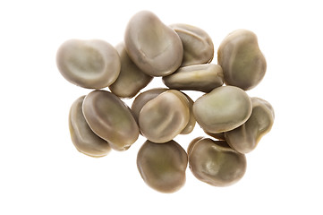 Image showing Broad Bean